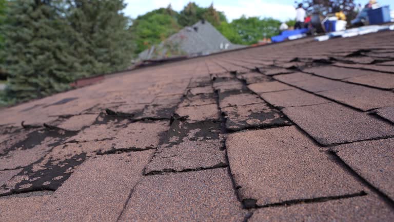 Broad Creek, NC Roofing Service Company